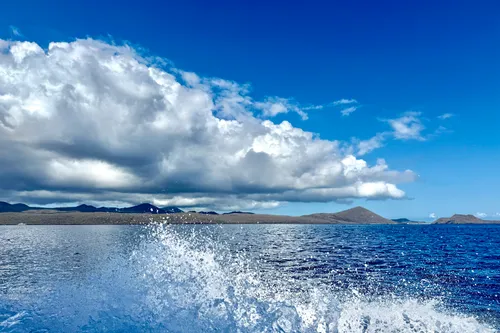 Floreana: A Murder Mystery in the Galápagos