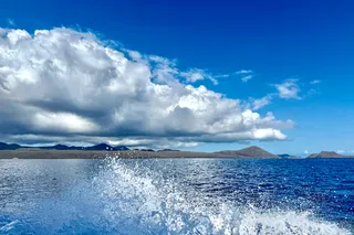 Floreana: A Murder Mystery in the Galápagos