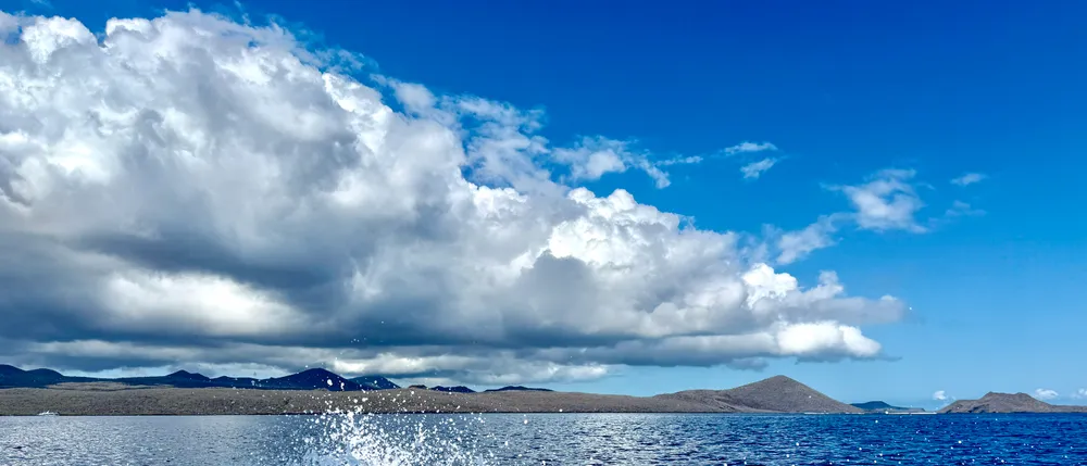 Floreana: A Murder Mystery in the Galápagos