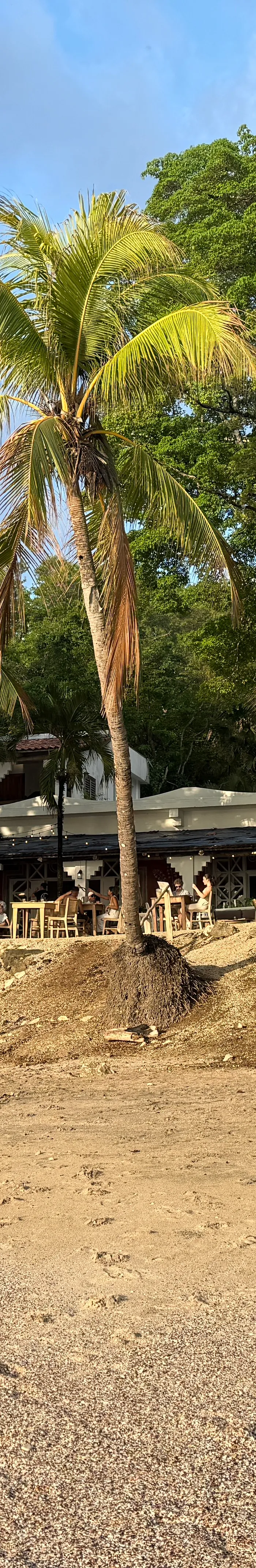 The restaurant from the beach, late afternoon