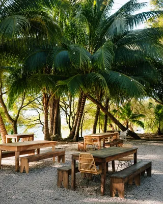 Teak tables under the palms