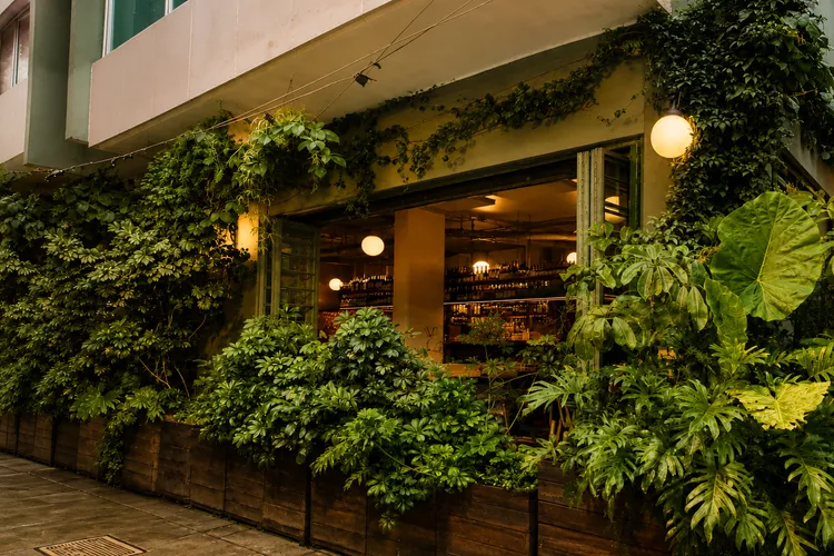 Lardo: A Solid Neighborhood Hang